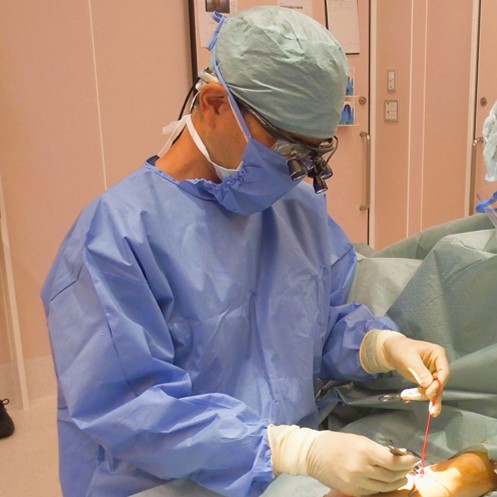 OEC One CFD_Meijo01.jpg